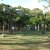 campingyuste (14)